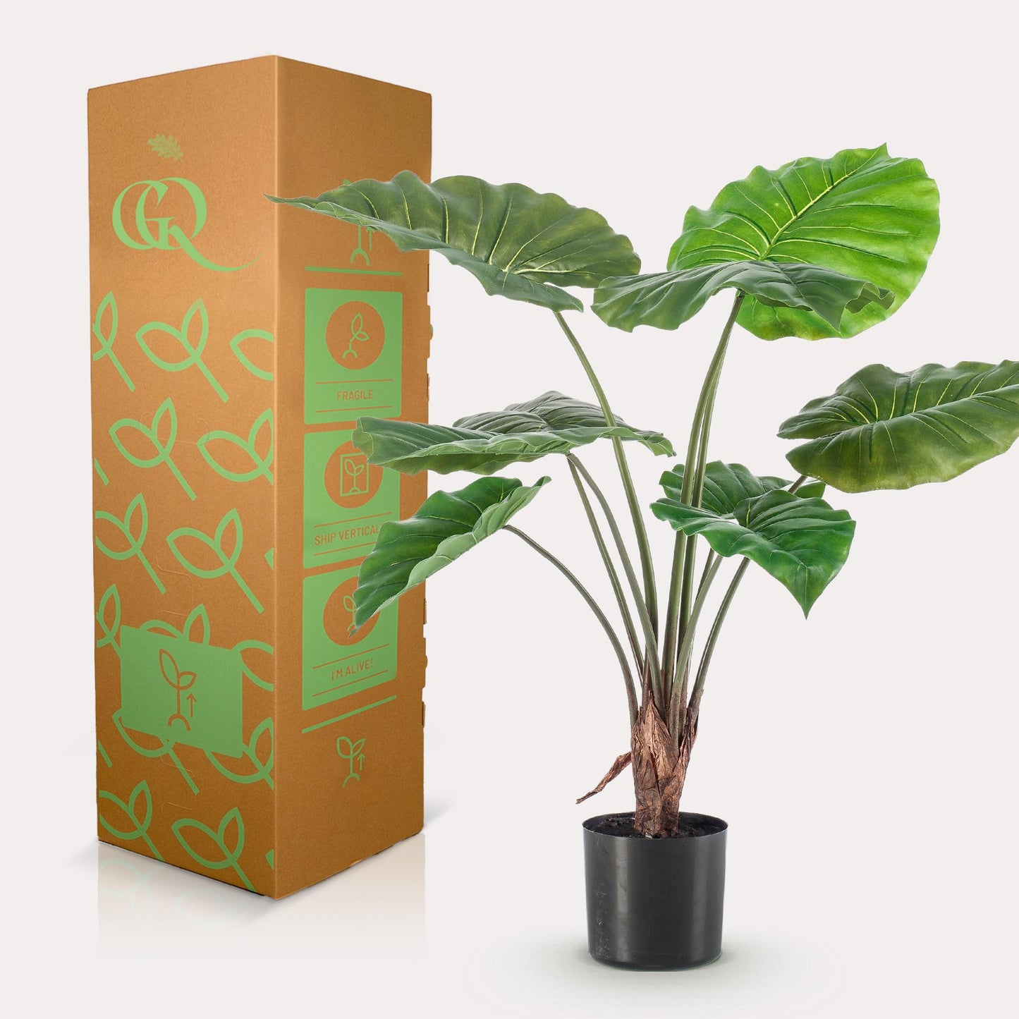 Kunst-Alocasia 70 cm – Pflanzfix24.de - Pflanzfix24.de