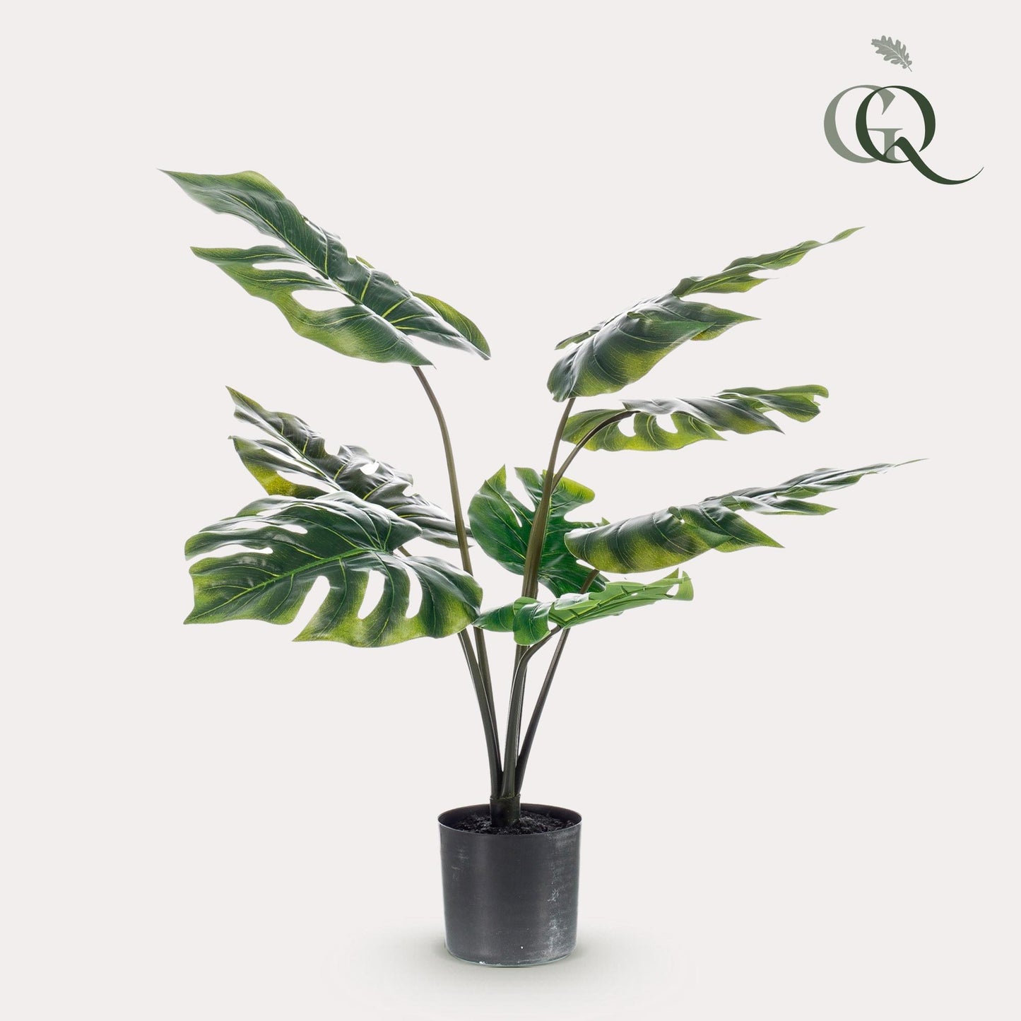 Künstliche Monstera Deliciosa - 65 cm - Pflanzfix24.de - Pflanzfix24.de