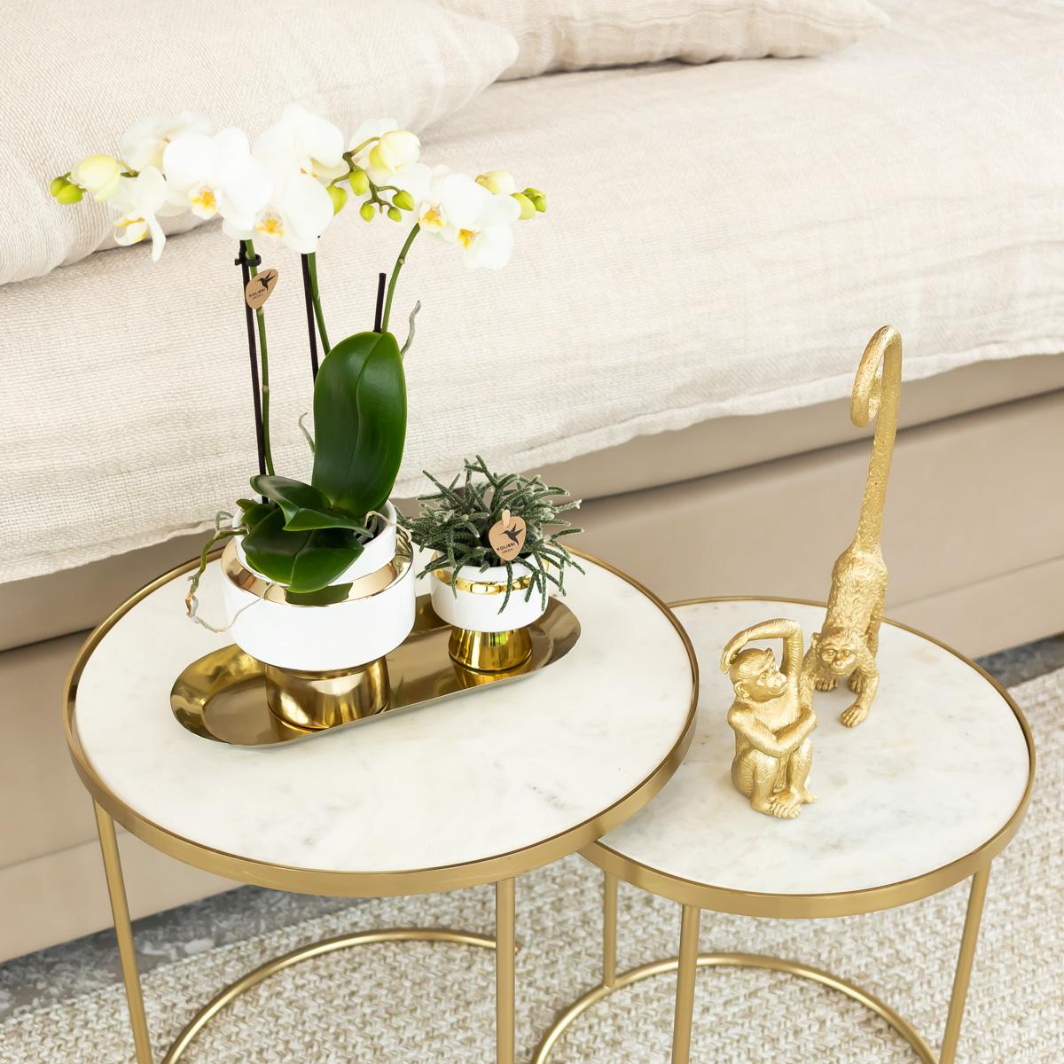 Sitzender Affe Dekofigur Gold – Kolibri Home | Pflanzfix24.de - Pflanzfix24.de