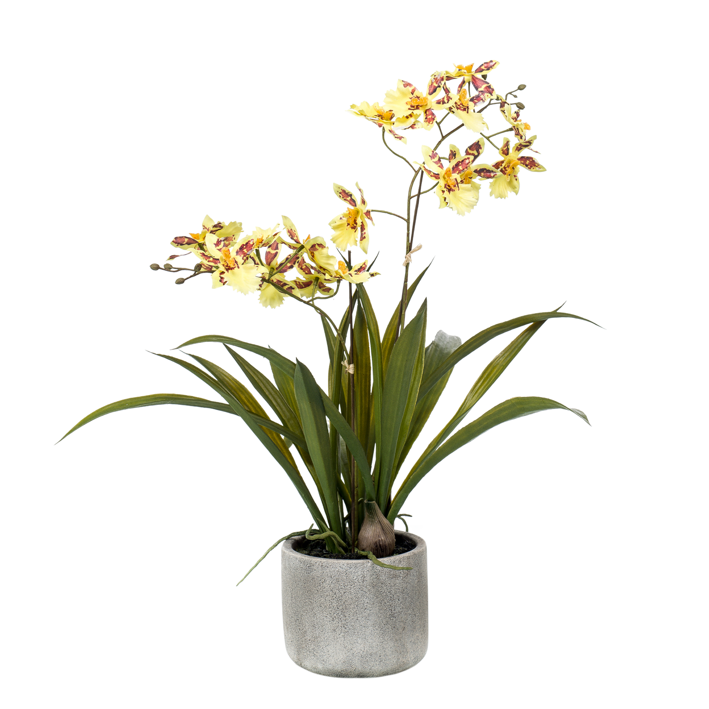 Kunstpflanze Orchidee Gelb-Braun 45 cm | Pflanzfix24.de - Pflanzfix24.de
