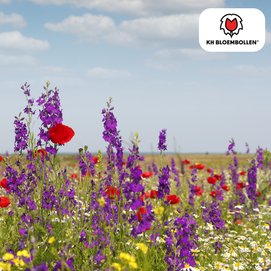 Wilde Bloemenzaad Mengsel – 100g | Bijen & Vlinders | Pflanzfix24