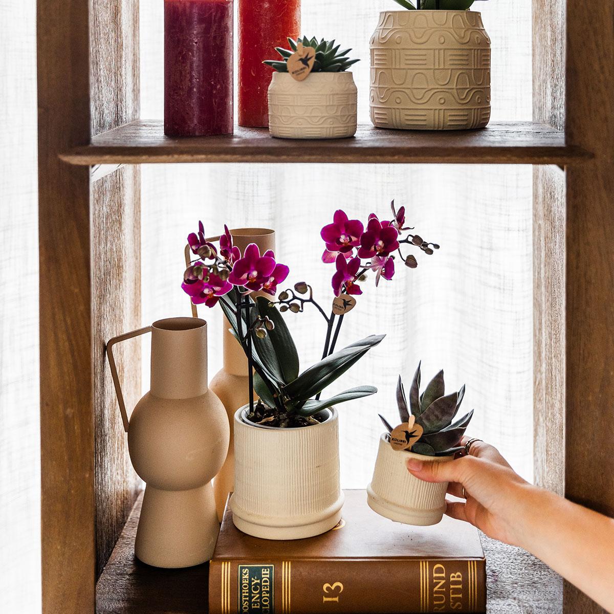 Bali Blumentopf Off White Ø9cm - Eleganter Rillen-Keramiktopf | Pflanzfix24.de - Pflanzfix24.de