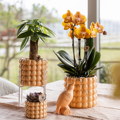 pflanzfix24 | Kolibri Home | Poppy Ziertopf - Peach - Ø6cm
