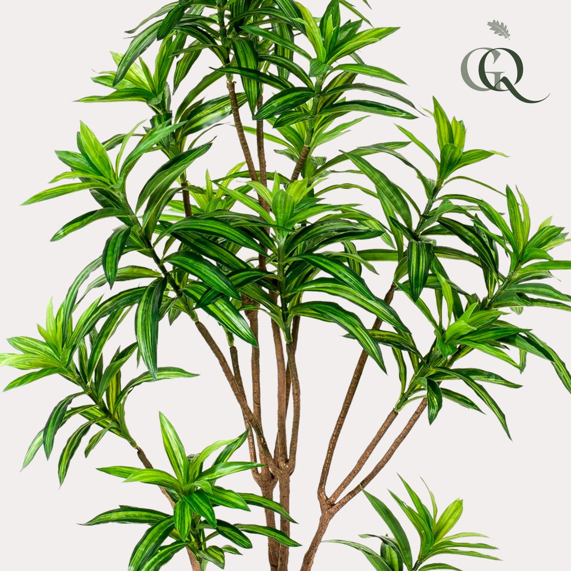 Dracaena Kunstpflanze 155cm – Drachenbaum | Pflanzfix24.de - Pflanzfix24.de