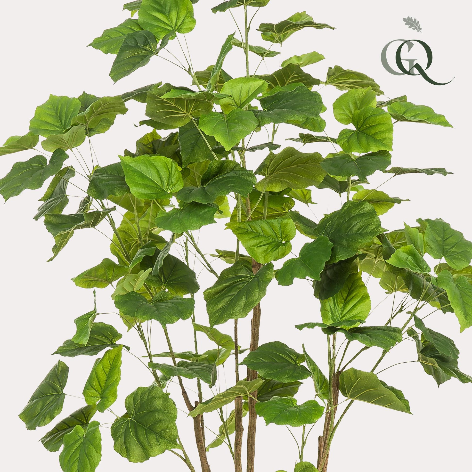 Kunstpflanze Ficus Umbellata 180 cm | Pflanzfix24.de - Pflanzfix24.de