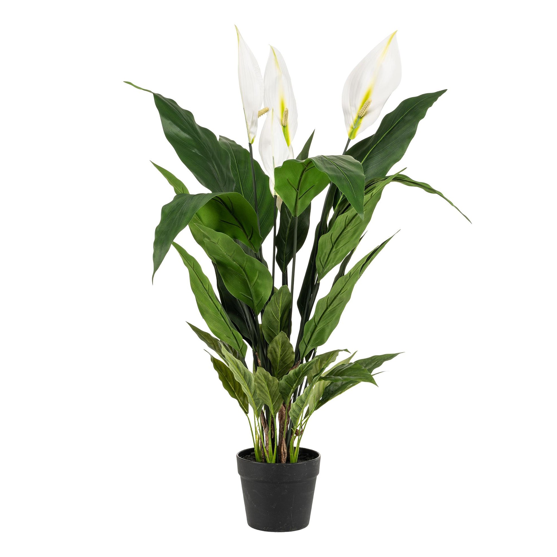 Kunstpflanze Spathiphyllum 90 cm – Lepelplant | Pflanzfix24.de - Pflanzfix24.de