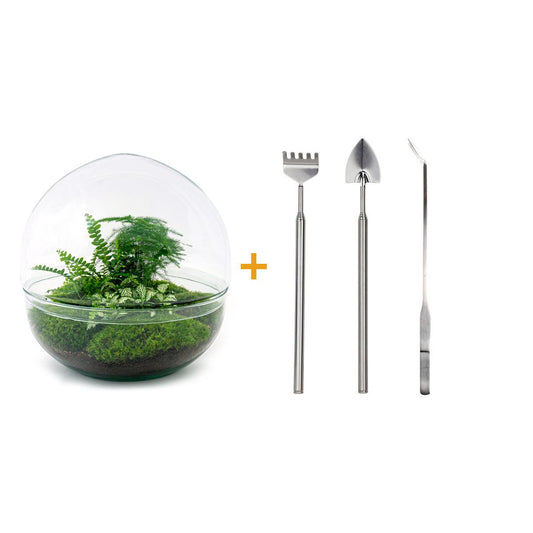 Flaschengarten - Dome XL - ↕ 30 cm - Rake + Shovel + Tweezer - Pflanzfix24.de - Pflanzfix24.de