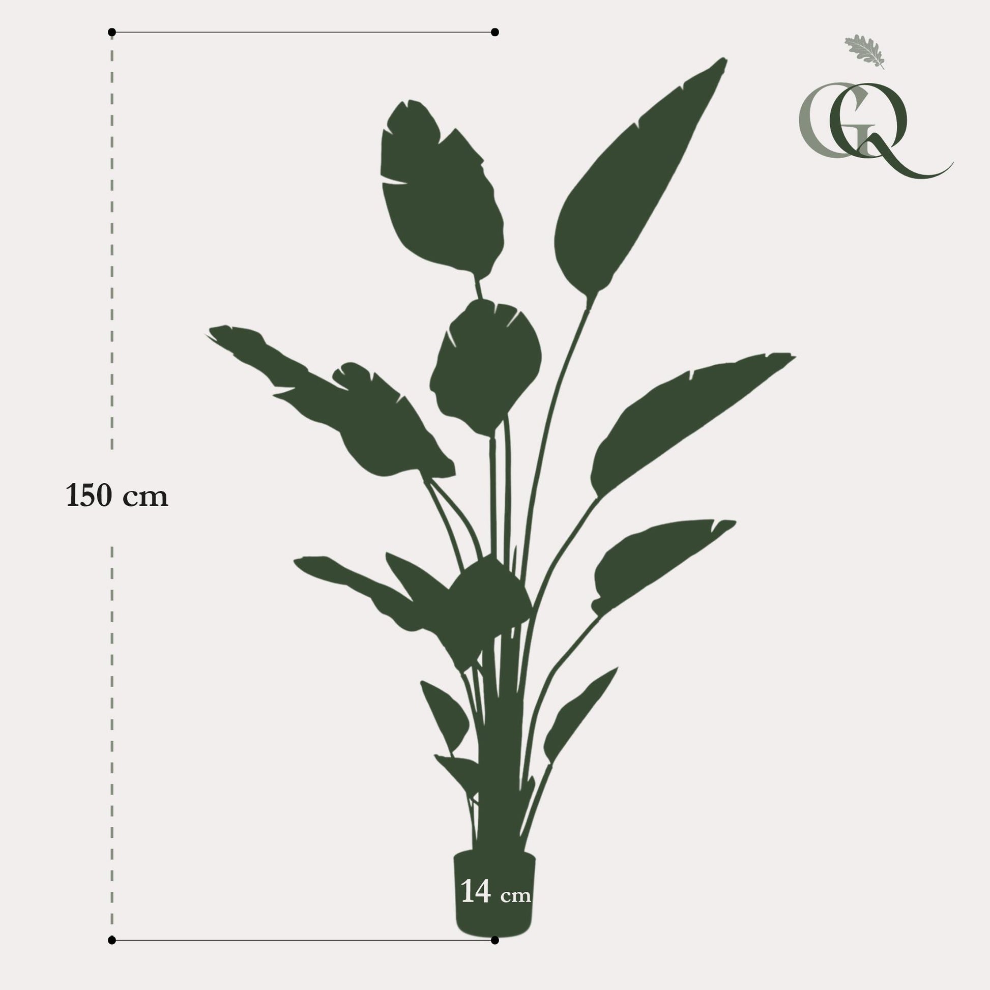 Kunst-Strelitzia Nicolai 150 cm – Paradiesvogelblume | Pflanzfix24.de - Pflanzfix24.de