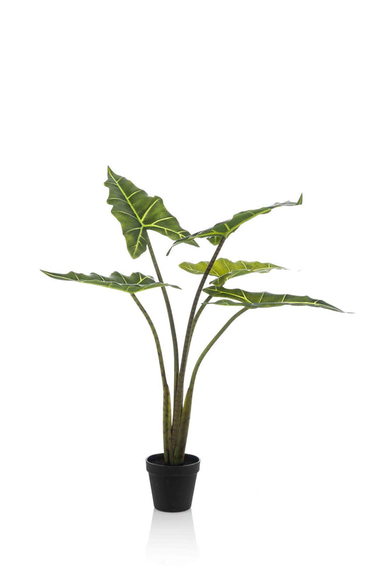 Kunst-Alocasia Frydek 80 cm – Pflanzfix24.de - Pflanzfix24.de