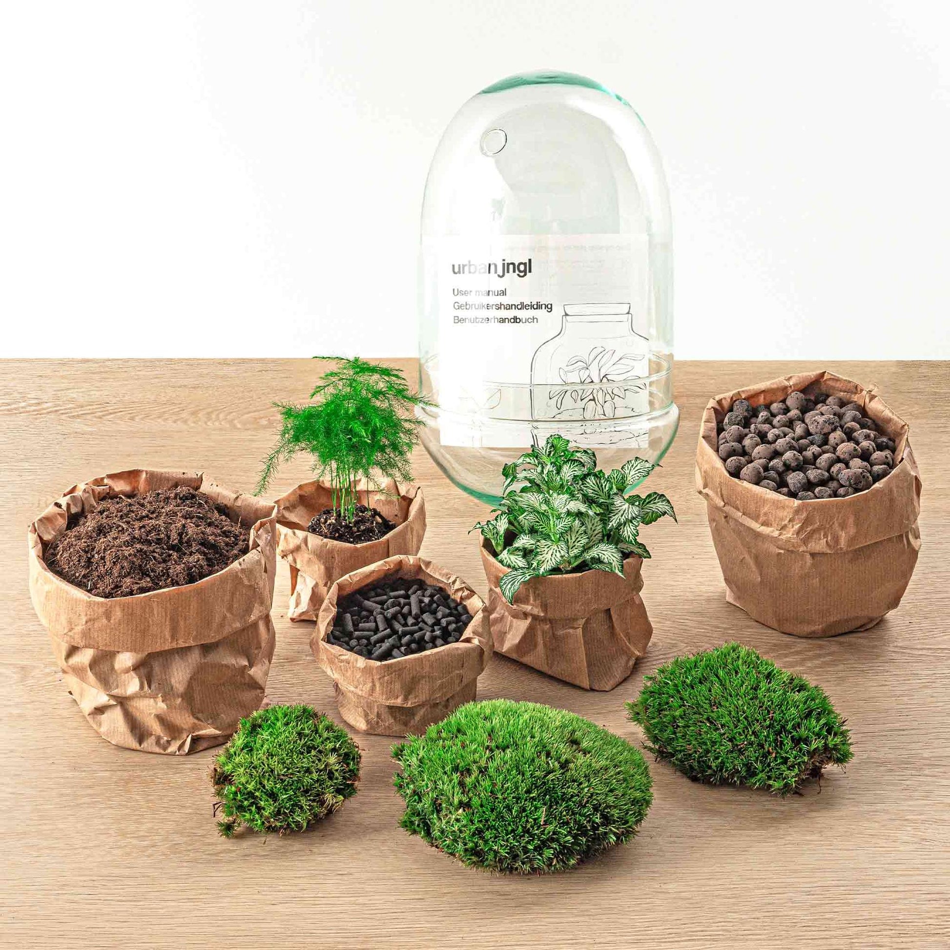 Flaschengarten DIY Terrarium - Egg XL - ↕ 30 cm - Pflanzfix24.de - Pflanzfix24.de