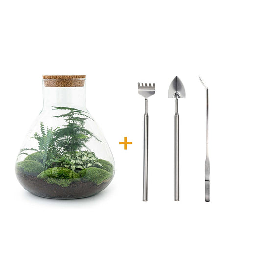 Flaschengarten - Sam XL - ↕ 35 cm - Rake + Shovel + Tweezer - Pflanzfix24.de - Pflanzfix24.de