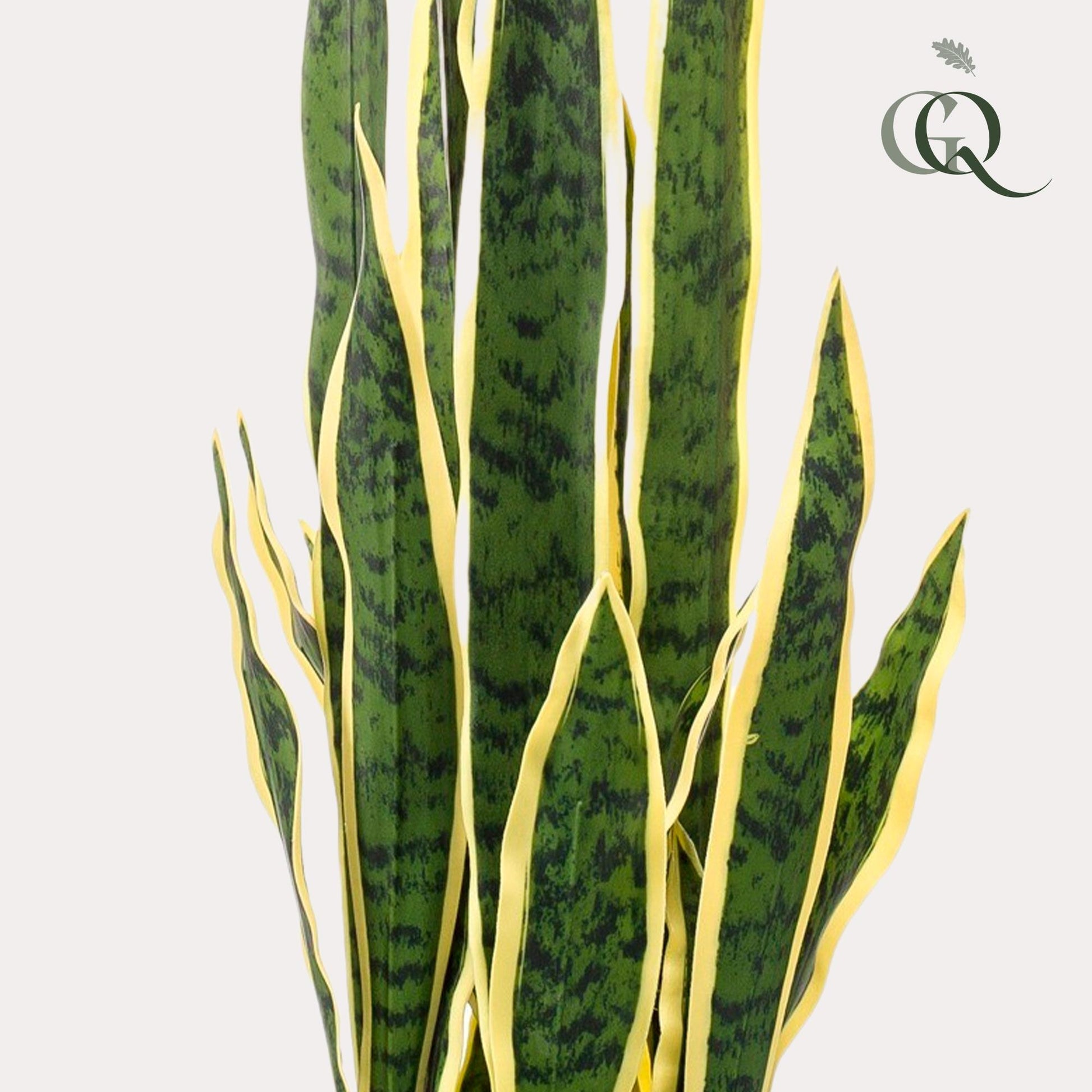 Kunst-Sansevieria Trifasciata 97 cm – Frauenzunge | Pflanzfix24.de - Pflanzfix24.de