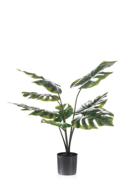 Künstliche Monstera Deliciosa - 65 cm - Pflanzfix24.de - Pflanzfix24.de