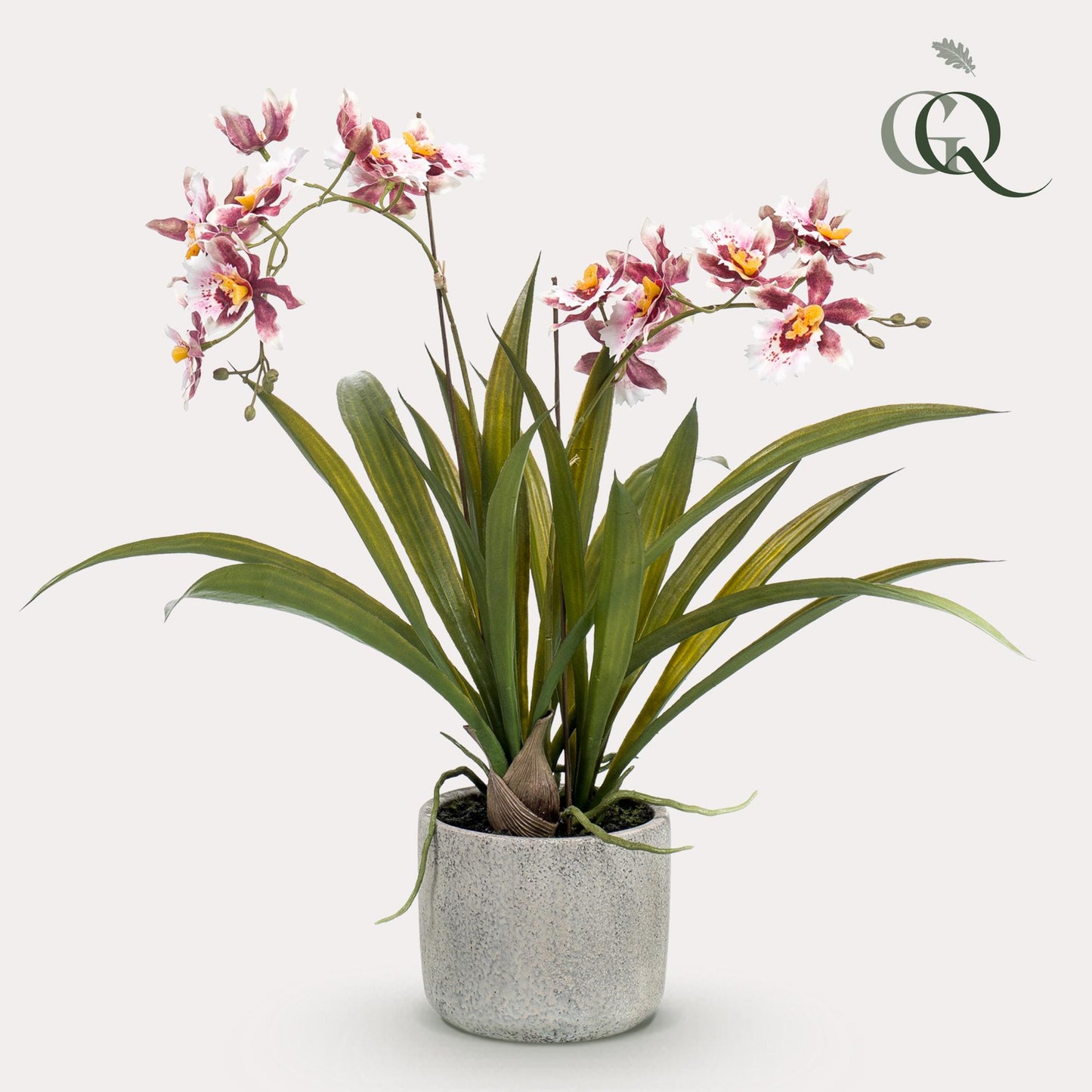 Kunstplant - Orchidee - Bordeaux - 45cm - Pflanzfix24