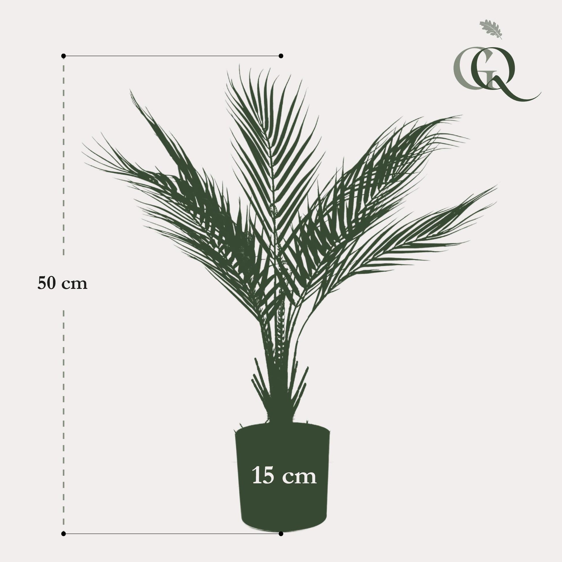 Kunstpalme Chamaedorea Elegans 50 cm – Pflanzfix24.de - Pflanzfix24.de