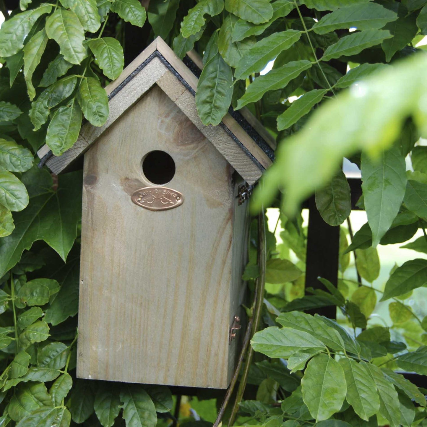 Vogelhaus Blaumeise Nistkasten mit Bitumendach – Pflanzfix24.de - Pflanzfix24.de