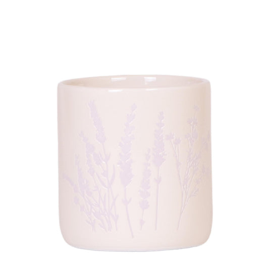 Blumentopf Lavendel 9 cm - Kolibri Home bei Pflanzfix24