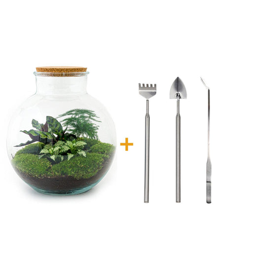 Flaschengarten - Bolder Bob - DIY-Set - Pflanzfix24.de - Pflanzfix24.de