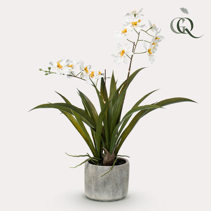 Kunstpflanze Orchidee Weiß 45 cm | Pflanzfix24.de - Pflanzfix24.de