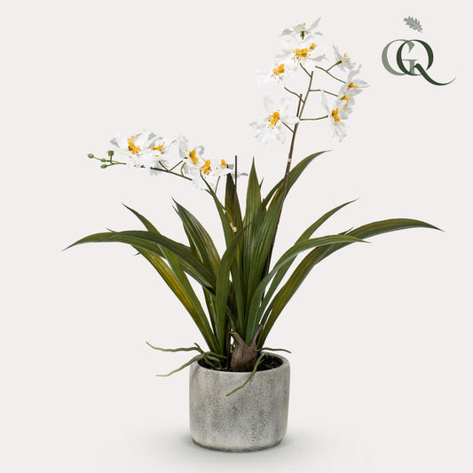 Kunstpflanze Orchidee Weiß 45 cm | Pflanzfix24.de - Pflanzfix24.de