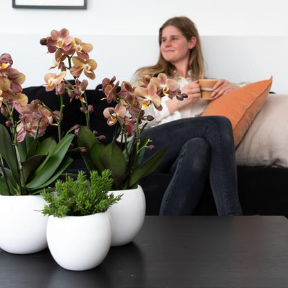 Bowl Blumentopf Weiß Ø9cm – Handgefertigter Keramiktopf mit Wellenrand | Pflanzfix24.de - Pflanzfix24.de
