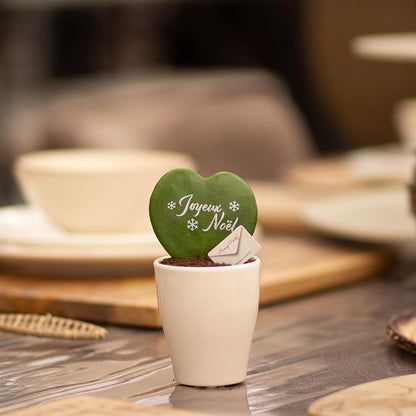 Message Printz® Hoya (Heartplant) | Joyeux Noël - Pflanzfix24
