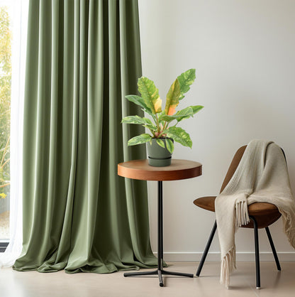 Philodendron Narrow 'Ring Of Fire' P14 - Pflanzfix24