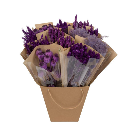 Dried Mono Mix Purple - 12 Stücke - Pflanzfix24