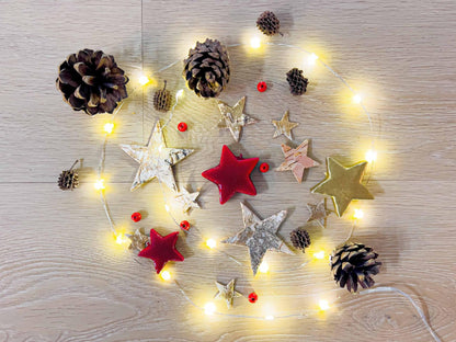 Christmas Terrarium Decoration Kit - Pflanzfix24
