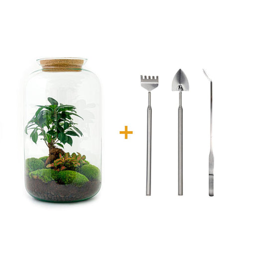 Flaschengarten - Sven Bonsai - ↕ 43 cm - Rake + Shovel + Tweezer - Pflanzfix24.de - Pflanzfix24.de