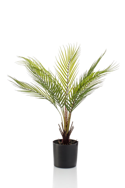Kunstpalme Chamaedorea Elegans 50 cm – Pflanzfix24.de - Pflanzfix24.de