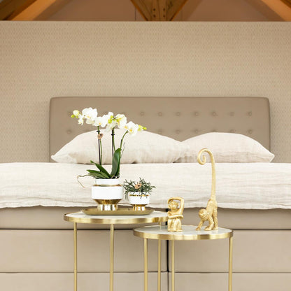 Kolibri Home Le Chic Blumentopf Weiß Ø6cm mit Gold – Keramik | Pflanzfix24.de - Pflanzfix24.de
