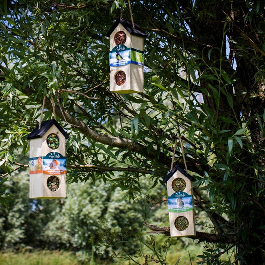 Vogelfutter Bird-Chalet 500g für Meisen – Vogel-Buffet | Pflanzfix24