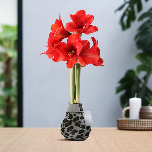 No Water Flowers® Fashionz Animal - Leopard + Red flower - Pflanzfix24