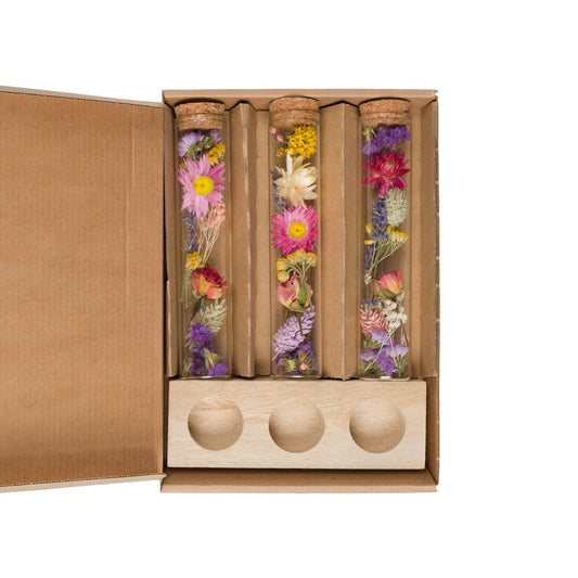 Getrocknete Blumen - Message in a Box Large - Multi - 8 Stücke - ↕15cm - Pflanzfix24.de - Pflanzfix24.de