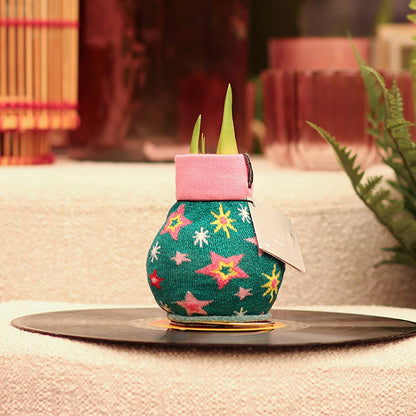 No Water Flowers® Fashionz Patterns Disco - Green + Red flower - Pflanzfix24