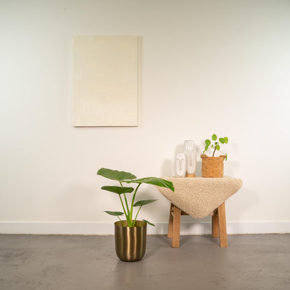 Alocasia Macrorrhiza - Ø19cm - ↕70cm + Topf Mayk Gold - Pflanzfix24