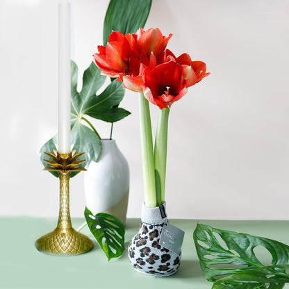 No Water Flowers® Fashionz Animal - Leopard + Red flower - Pflanzfix24