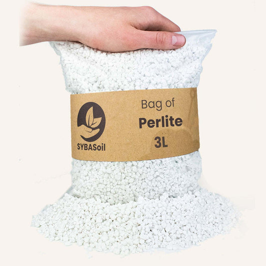 Perlit 3L - Pflanzfix24