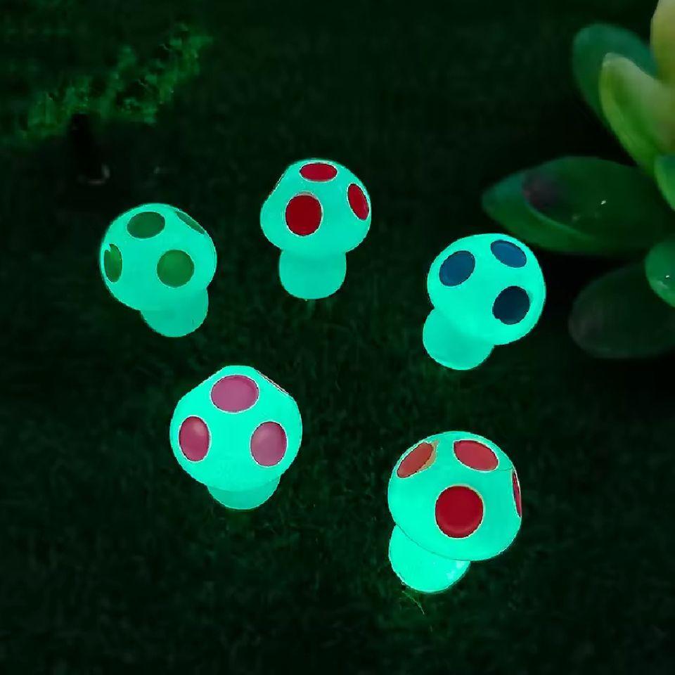 Glow in the dark - Mushrooms - Multi - ↑ 2 cm - 8 stuks - Pflanzfix24