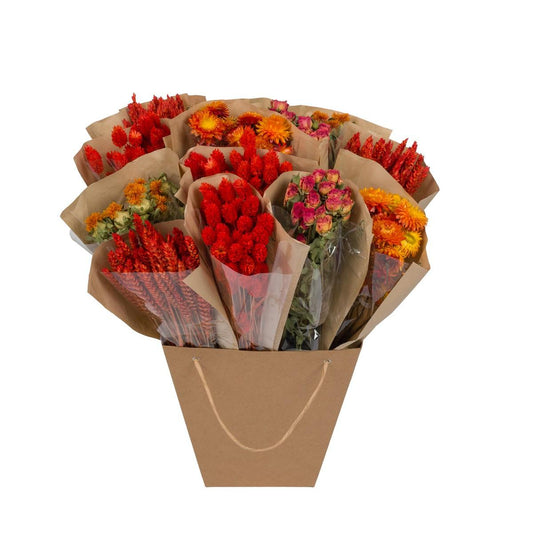 Getrocknete Blumen - Dried Mono Mix - Orange - ↕50cm - Pflanzfix24.de - Pflanzfix24.de