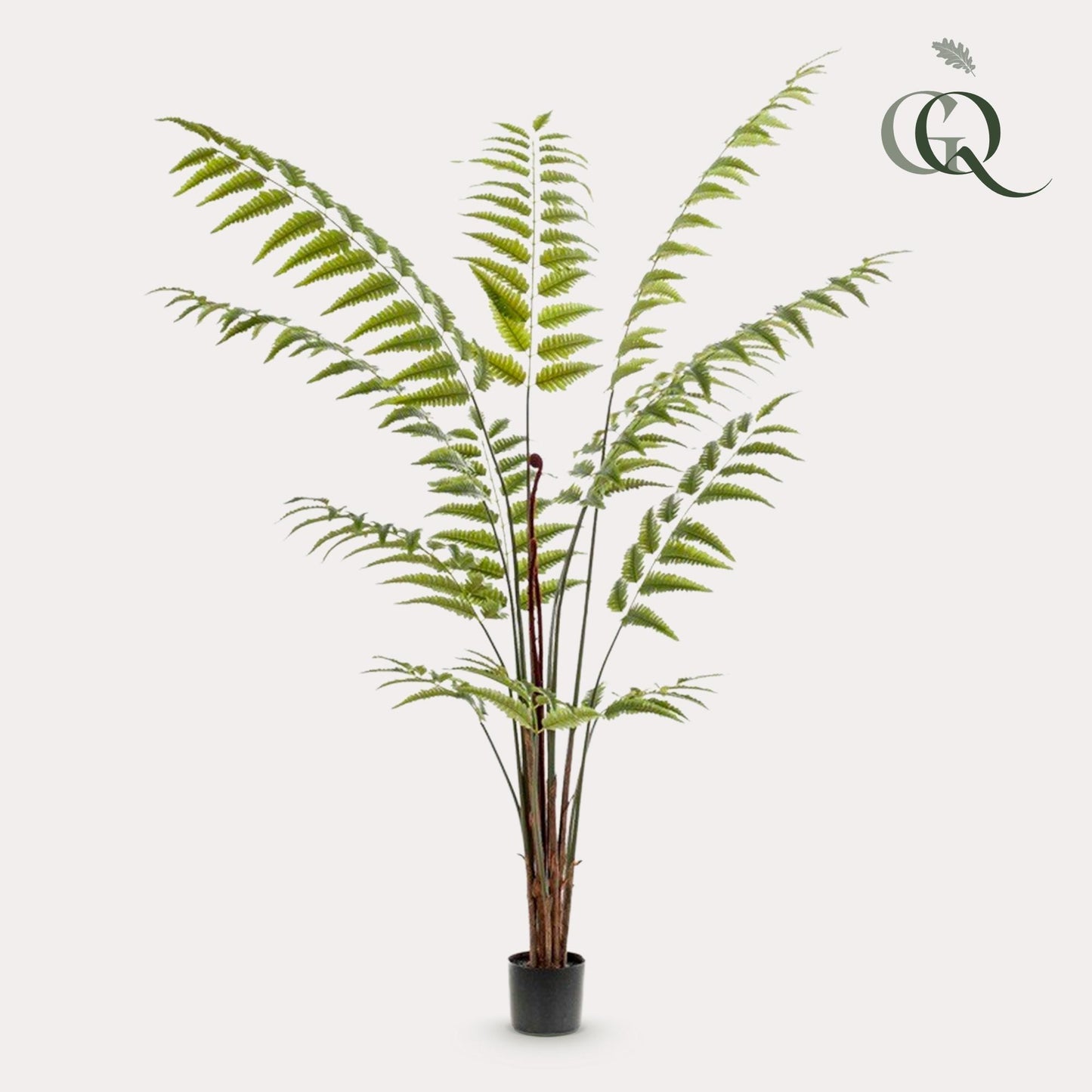 Kunstpflanze Rumohra Adiantiformis 180 cm – Lederfarn | Pflanzfix24.de - Pflanzfix24.de