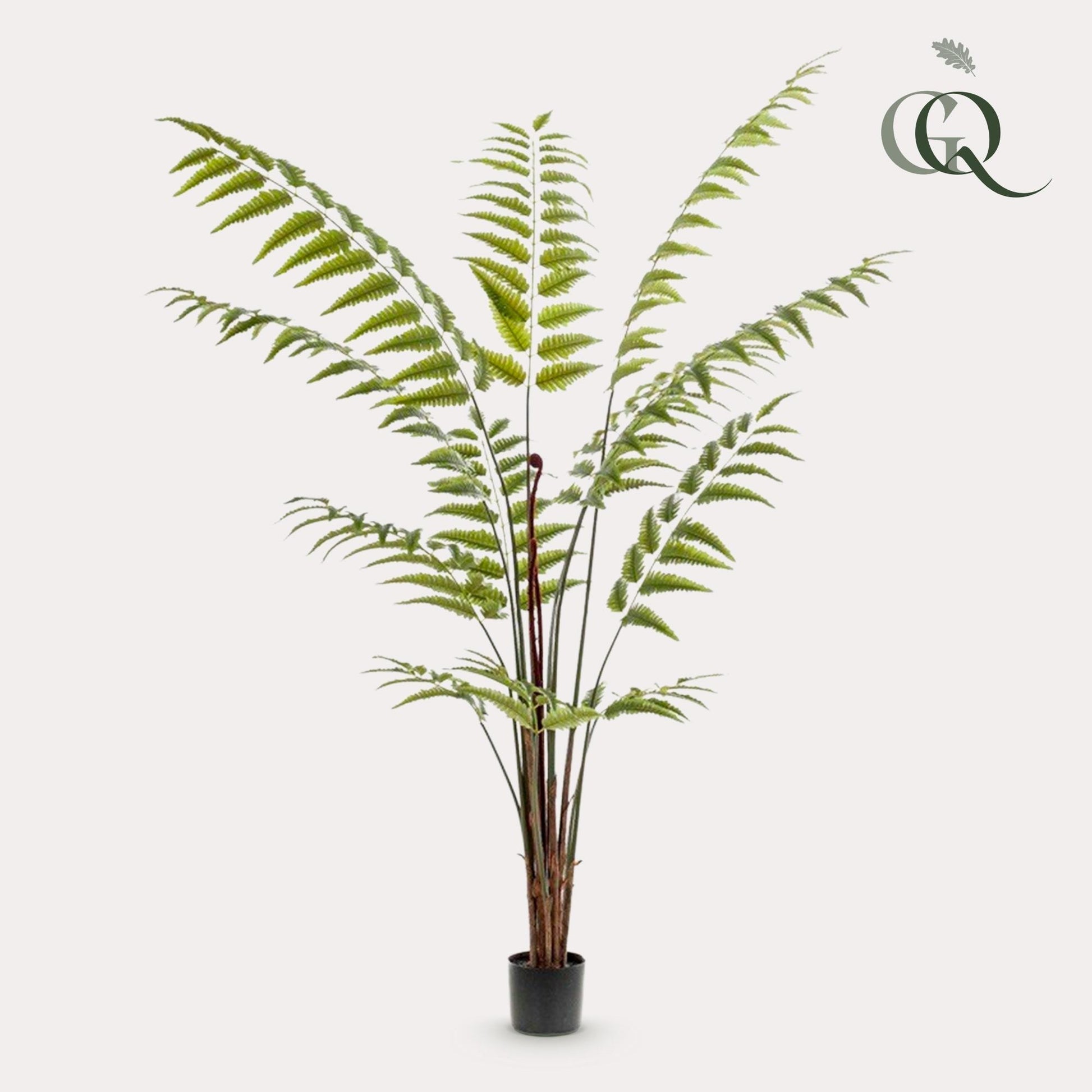 Kunstpflanze Rumohra Adiantiformis 180 cm – Lederfarn | Pflanzfix24.de - Pflanzfix24.de