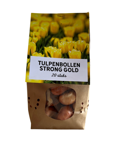 Strong Gold - Tulpenbollen 20 stuks | Pflanzfix24