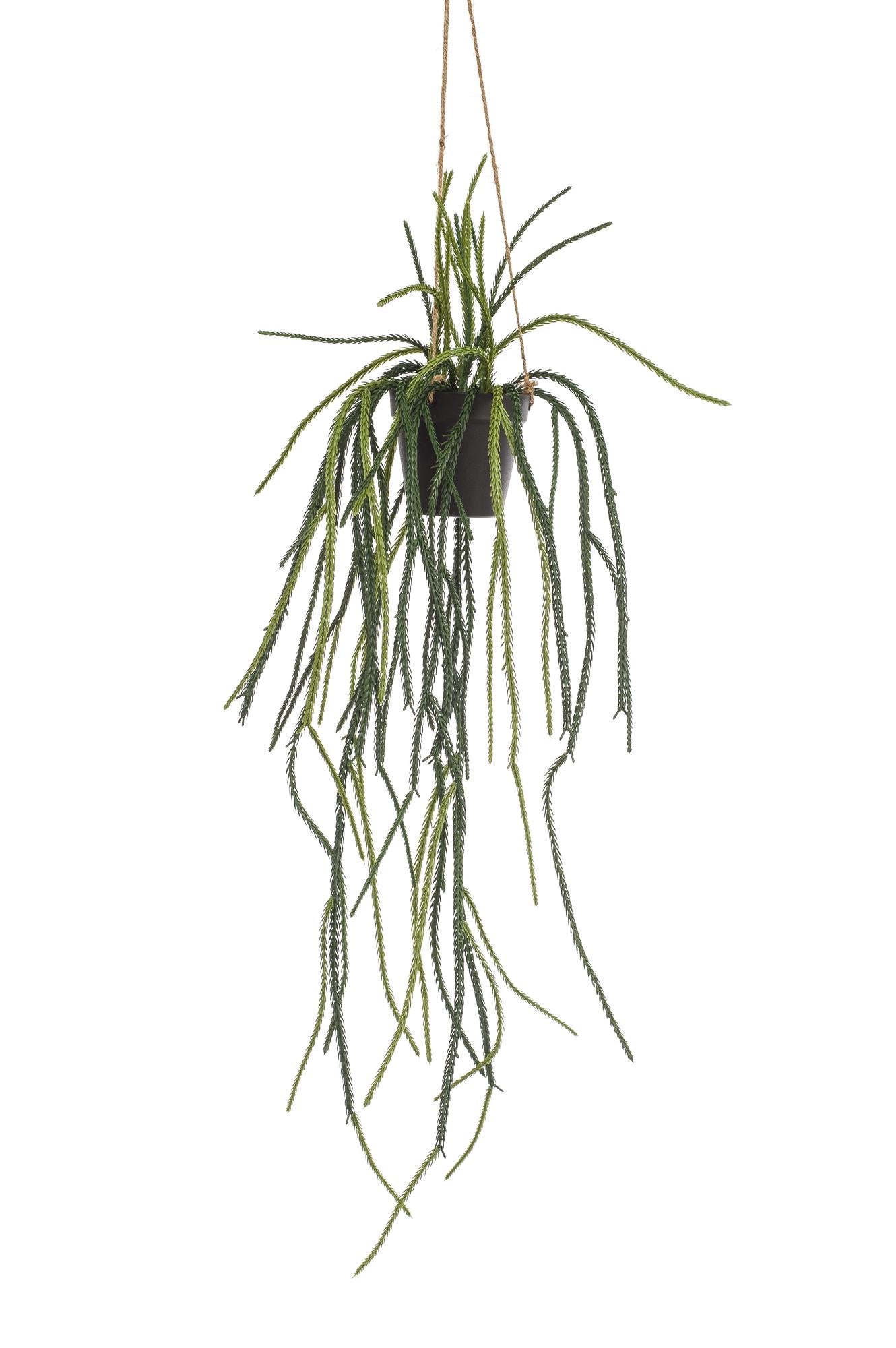 Kunstpflanze Rhipsalis Korallenkaktus 85 cm – Hängende Kaktee | Pflanzfix24.de - Pflanzfix24.de