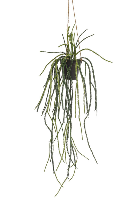 Kunstpflanze Rhipsalis Korallenkaktus 85 cm – Hängende Kaktee | Pflanzfix24.de - Pflanzfix24.de