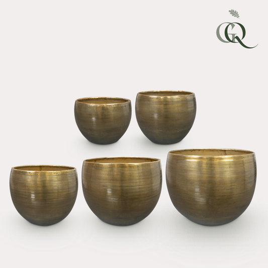 Set 5 Rowen aluminium Goudkleurig - Gold - Pflanzfix24