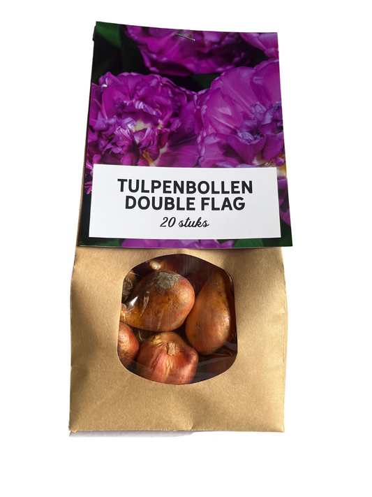 Tulpenbollenmix - 20 Stück von Pflanzfix24