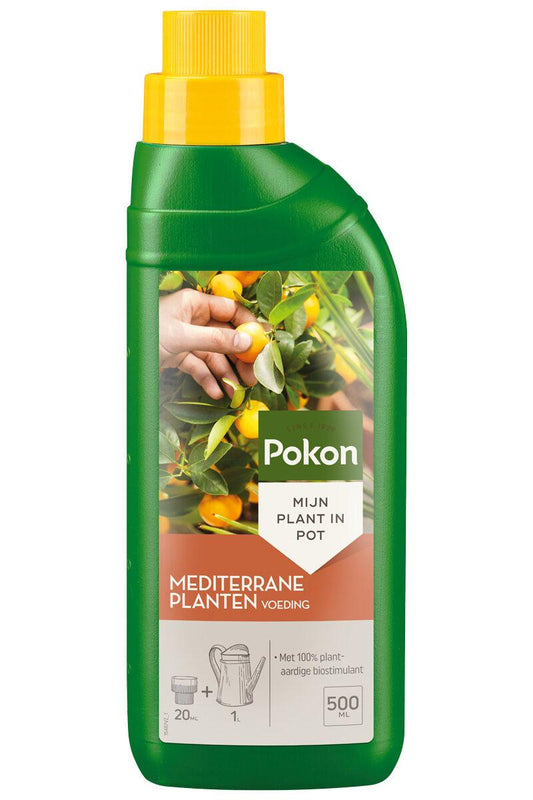 Pokon Dünger Mediterrane Pflanzen 500 ml – Pflanzfix24.de - Pflanzfix24.de