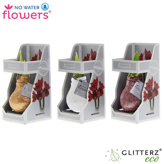 Pflanzfix24 No Water Flowers Glitterz Charm Mix in Gift Box - 3 Stücke